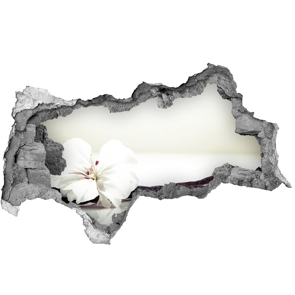 Samolepiaca diera nálepka Kvetinový pohľad cez stenu