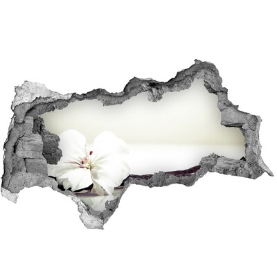 Samolepiaca diera nálepka Kvetinový pohľad cez stenu