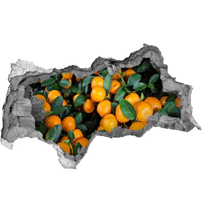 Nálepka 3D diera betón Ovocie v pomarančovej záhrade