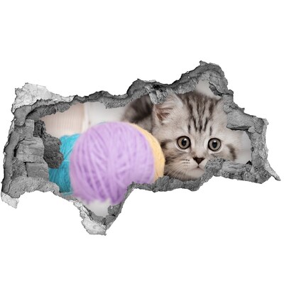 Diera 3D fototapeta nálepka Mačka s motko