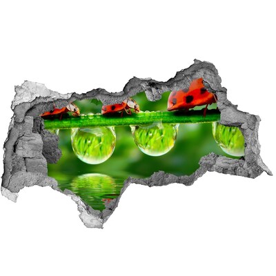 Diera 3D fototapeta na stenu Kvapka prírody s lienkou