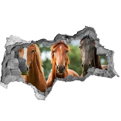 Diera 3D fototapeta na stenu Tri kone