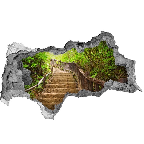 Nálepka fototapeta 3D výhľad Lesný chodník v horách