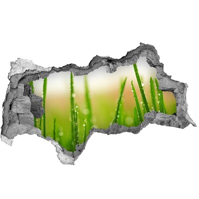 Samolepiaca diera na stenu nálepka Zelená lúka s kvapkami vody