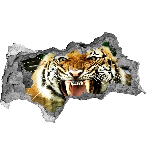 Diera 3D fototapeta nálepka Tiger v akcii