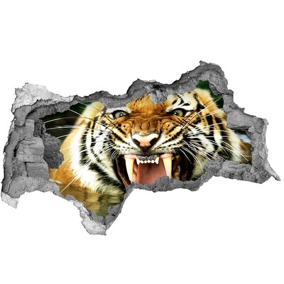 Diera 3D fototapeta nálepka Tiger v akcii