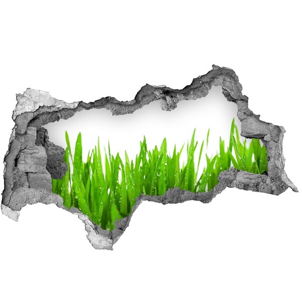 Samolepiaca diera nálepka betón Zelená lúka cez dieru v stene