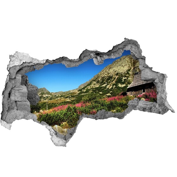 Nálepka fototapeta 3D Bacówka v údolí