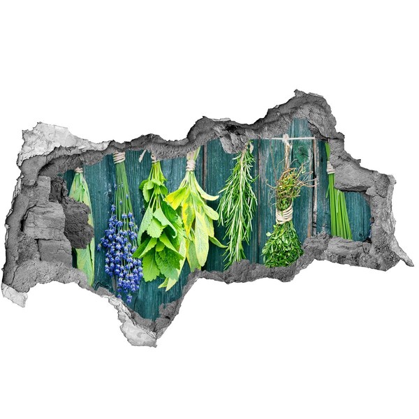 Nálepka 3D diera Bylinková záhrada v kuchyni