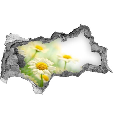 Samolepiaca diera nálepka Kvetinový raj za múrom