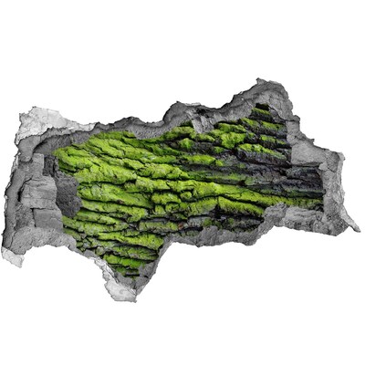 Samolepiaca diera nálepka Zelený kameň v diere