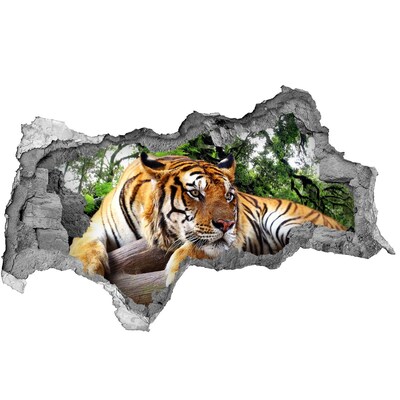 Diera 3D fototapeta na stenu Tiger na skale