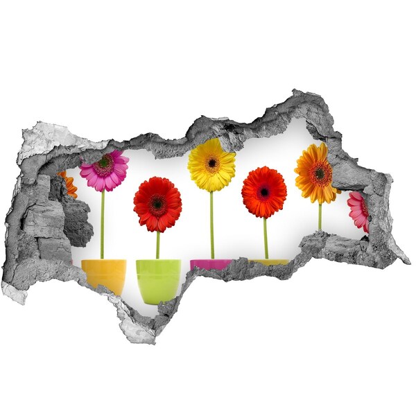 Samolepiaca diera na stenu Kvety v kvetináčoch cez dieru v stene