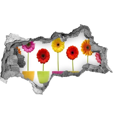 Samolepiaca diera na stenu Kvety v kvetináčoch cez dieru v stene