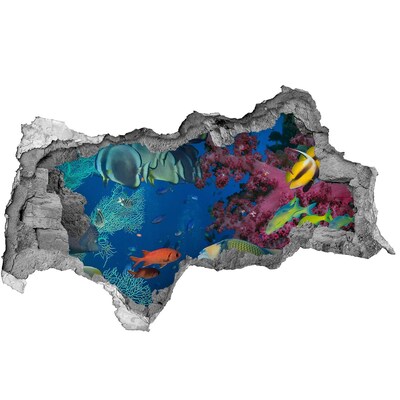 Diera 3D fototapeta na stenu Koralový útes
