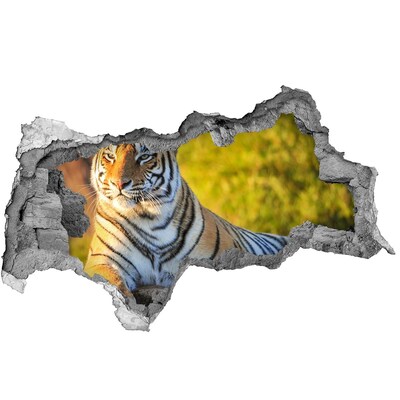 Diera 3D fototapeta nálepka Tiger v jeho prirodzenom prostredí