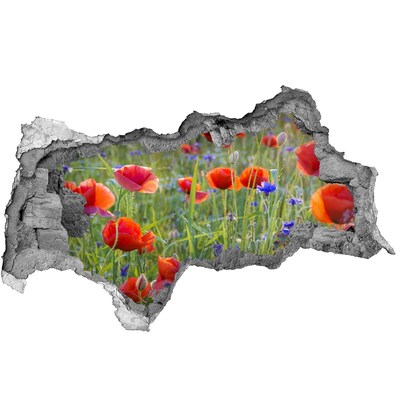 Samolepiaca diera na stenu Kvetinový raj za múrom