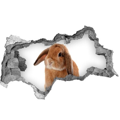 Diera 3D fototapeta nálepka Rudy králik