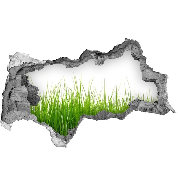 Samolepiaca diera nálepka betón Zelená lúka za múrom