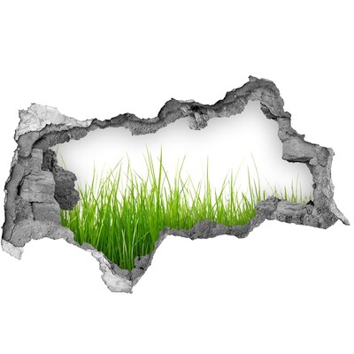 Samolepiaca diera nálepka betón Zelená lúka za múrom