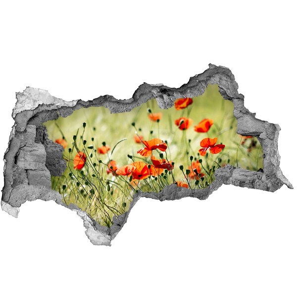 Samolepiaca diera nálepka betón Kvetinový raj medzi makmi