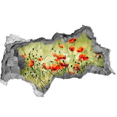 Samolepiaca diera nálepka betón Kvetinový raj medzi makmi