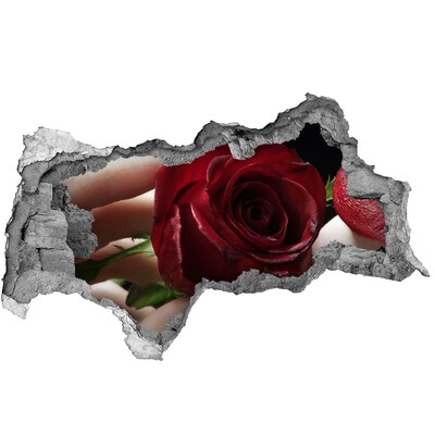 Fotoobraz diera na stenu Žena s ruží