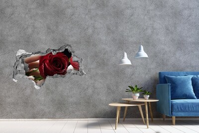 Fotoobraz diera na stenu Žena s ruží