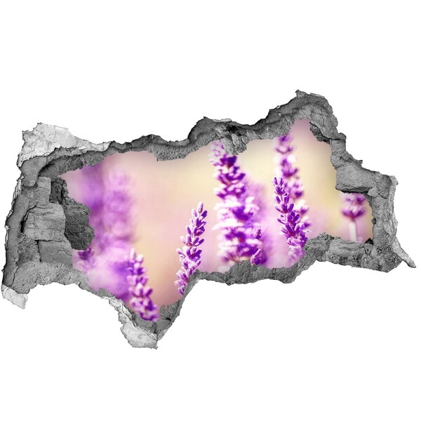 Samolepiaca diera nálepka betón Levanduľové kvety v rozbitej stene