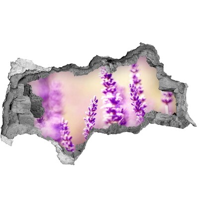 Samolepiaca diera nálepka betón Levanduľové kvety v rozbitej stene