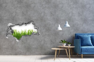 Samolepiaca diera nálepka betón Zelená lúka za múrom