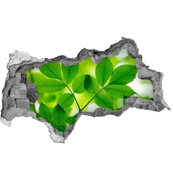 Samolepiaca diera nálepka Zelená oáza v betóne