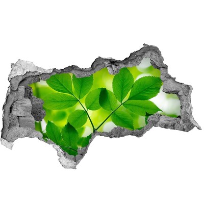 Samolepiaca diera nálepka Zelená oáza v betóne