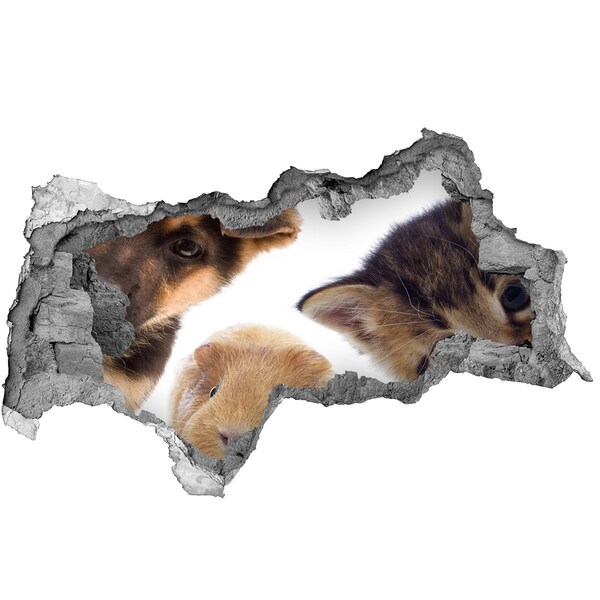 Diera 3D fototapeta nálepka Zvieratá spoza múru