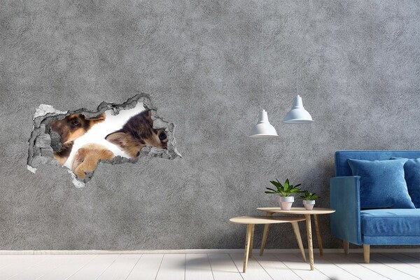 Diera 3D fototapeta nálepka Zvieratá spoza múru