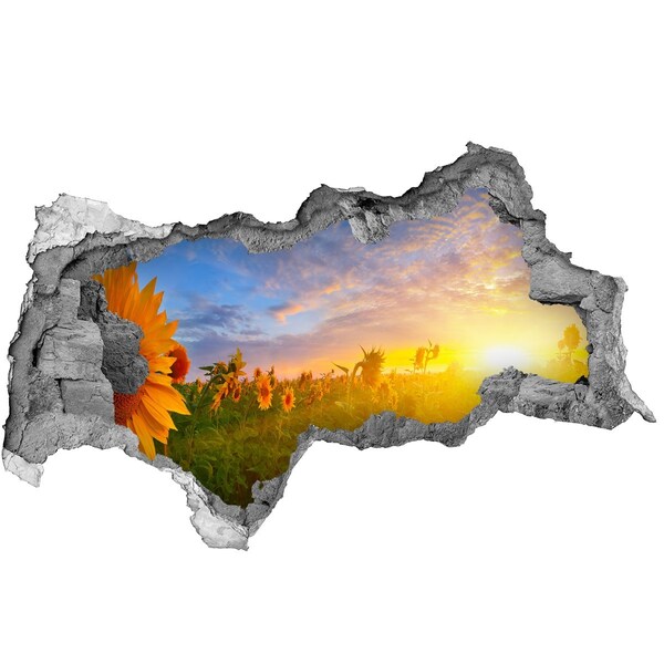 Nálepka fototapeta 3D Slnečnice v zapadajúcom slnku