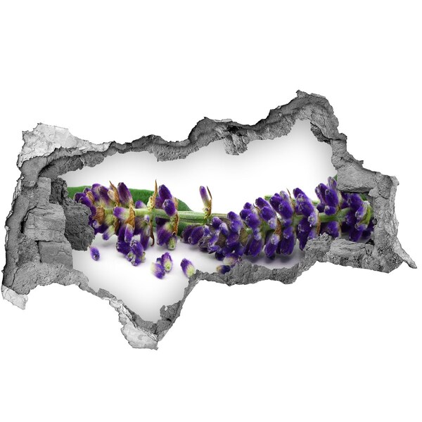 Samolepiaca diera nálepka betón Levanduľa