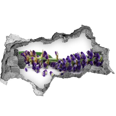 Samolepiaca diera nálepka betón Levanduľový kvet cez dieru v stene