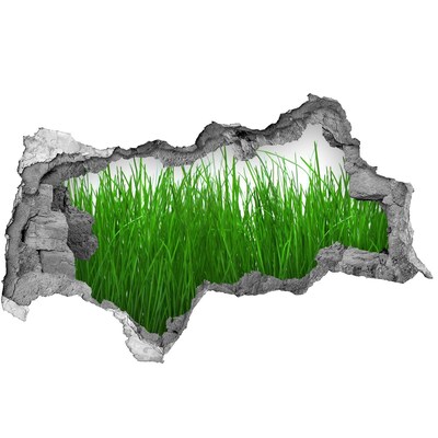 Samolepiaca diera na stenu nálepka Zelená lúka cez dieru v stene