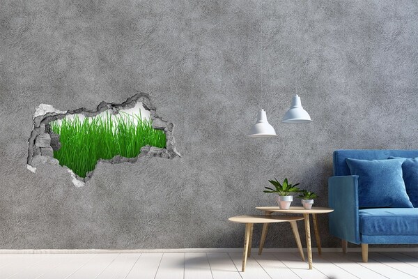 Samolepiaca diera na stenu nálepka Zelená lúka cez dieru v stene