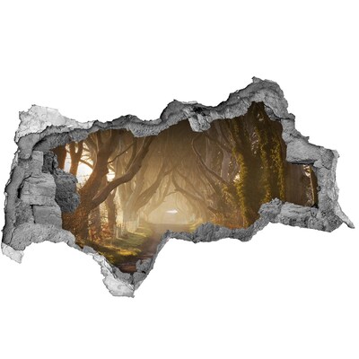 Nálepka fototapeta 3D výhľad Cesta medzi stromami