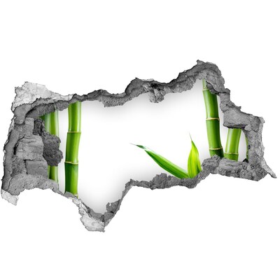 Samolepiaca diera na stenu nálepka Zelená rastlina cez dieru v stene