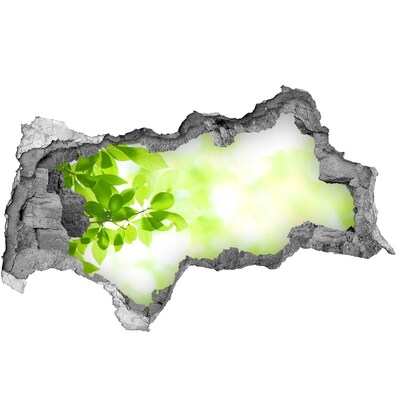 Samolepiaca diera nálepka betón Zelený raj za múrom