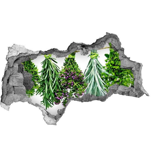 Nálepka 3D diera na stenu Bylinková záhrada Diera v stene