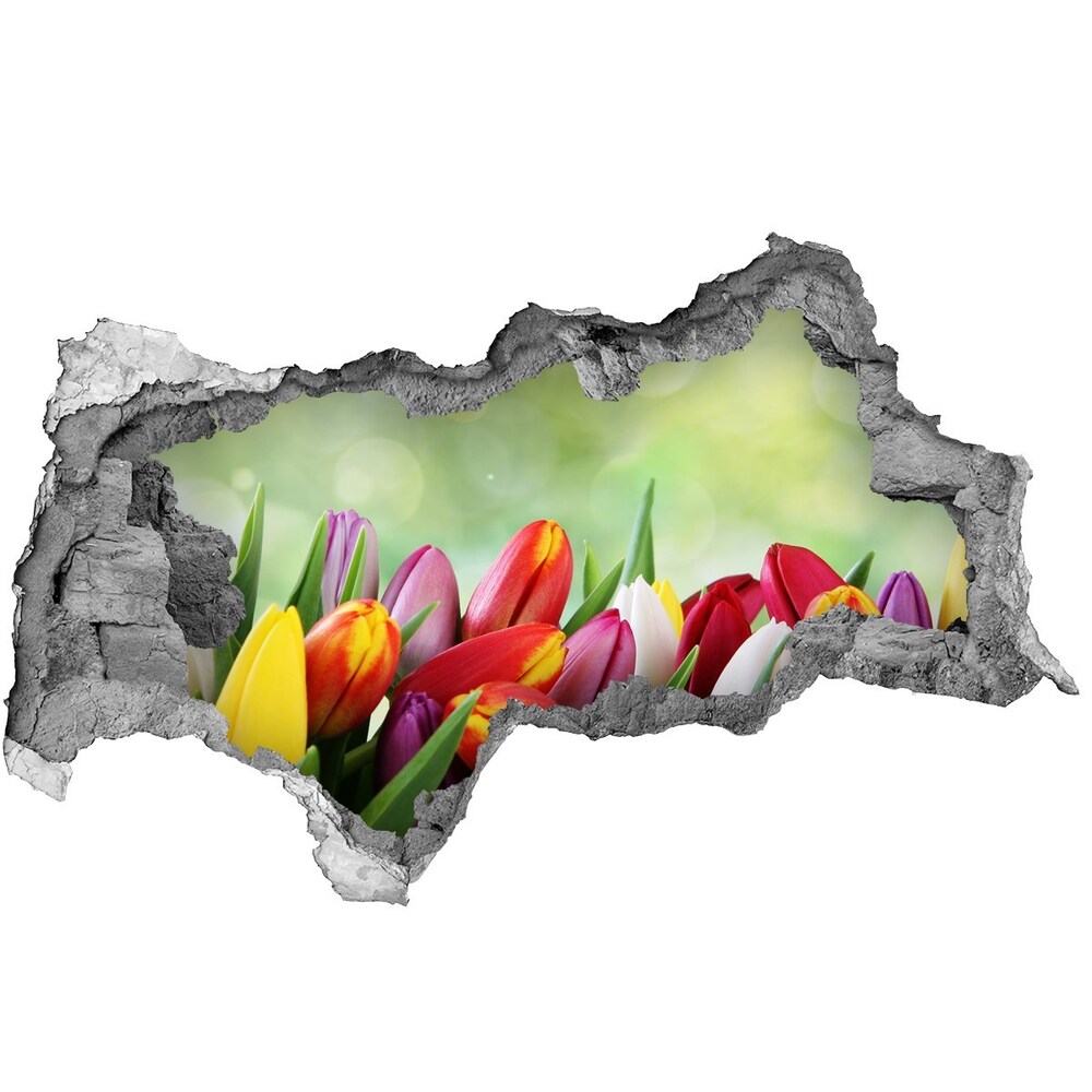Samolepiaca diera na stenu Farebné tulipány