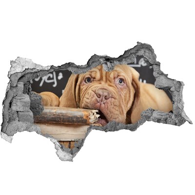 Diera 3D fototapeta Milé šteniatko medzi knihami