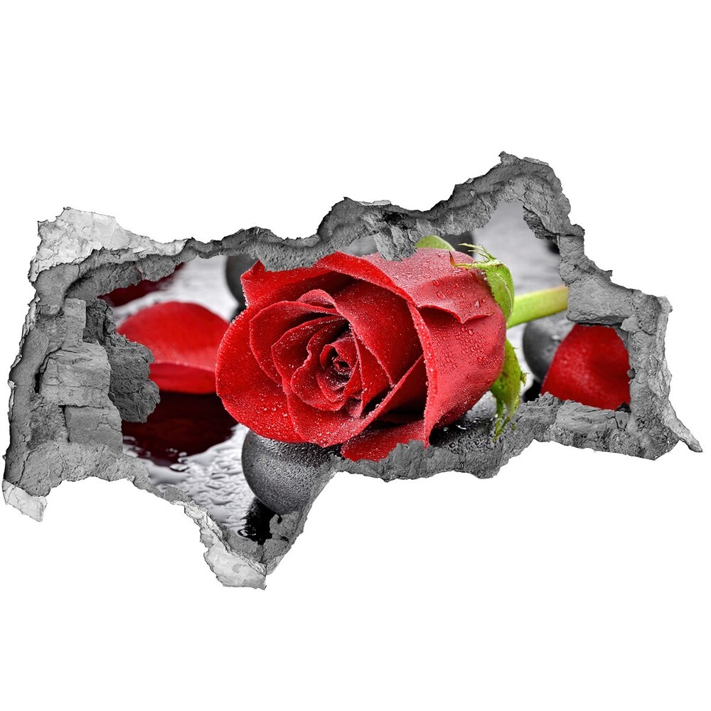 Samolepiaca diera na stenu Červená ruža