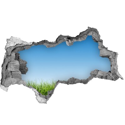 Samolepiaca diera na stenu nálepka Zelená lúka pod modrou oblohou