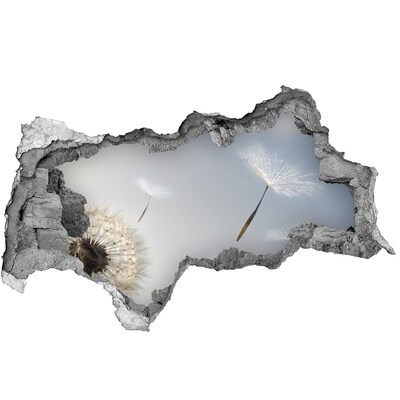 Fototapeta diera na stenu Púpavy v oblakoch