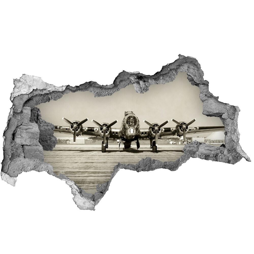 Foto fotografie diera na stenu Old bomber
